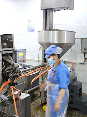 環境展示